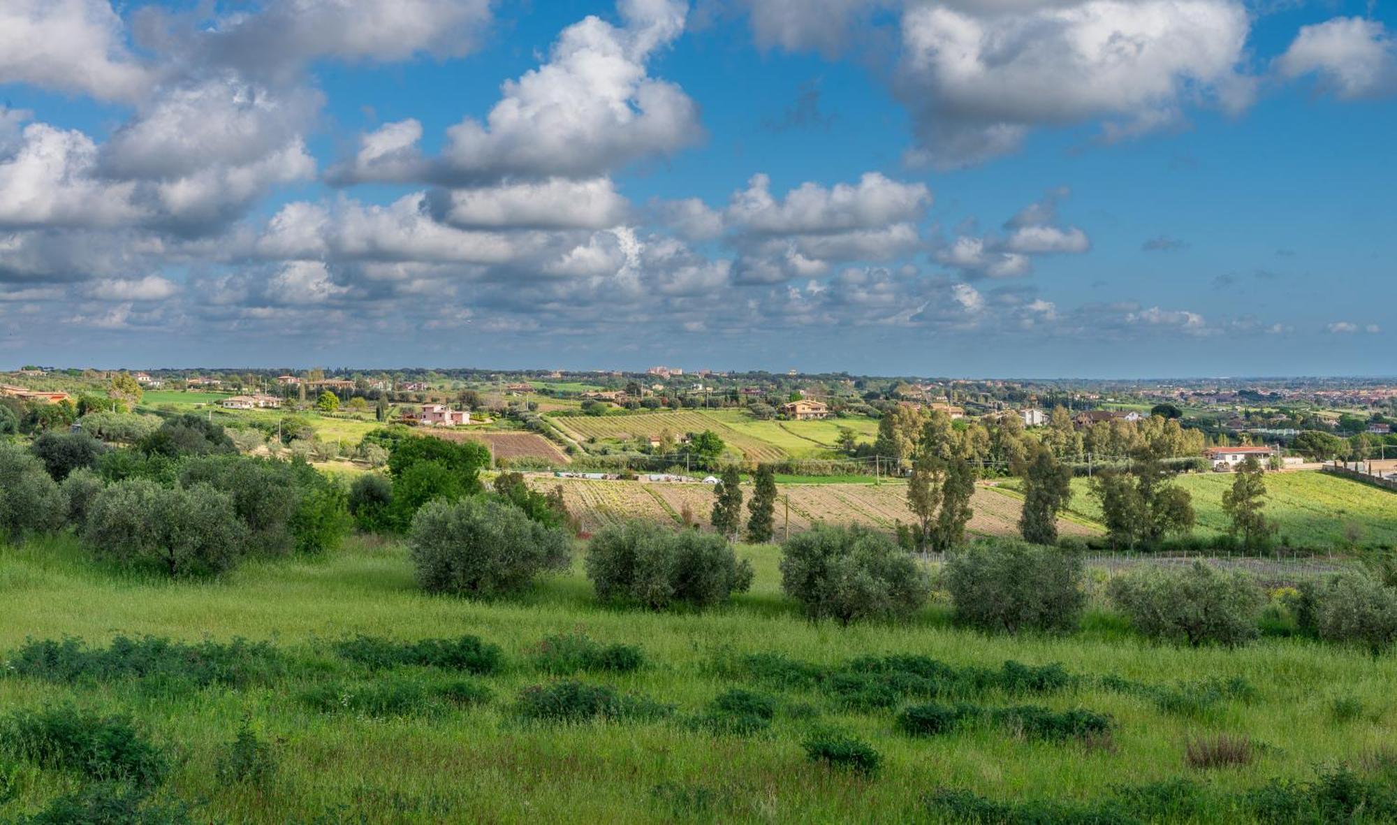 Villa Gli Eucalipti Cerveteri Zewnętrze zdjęcie