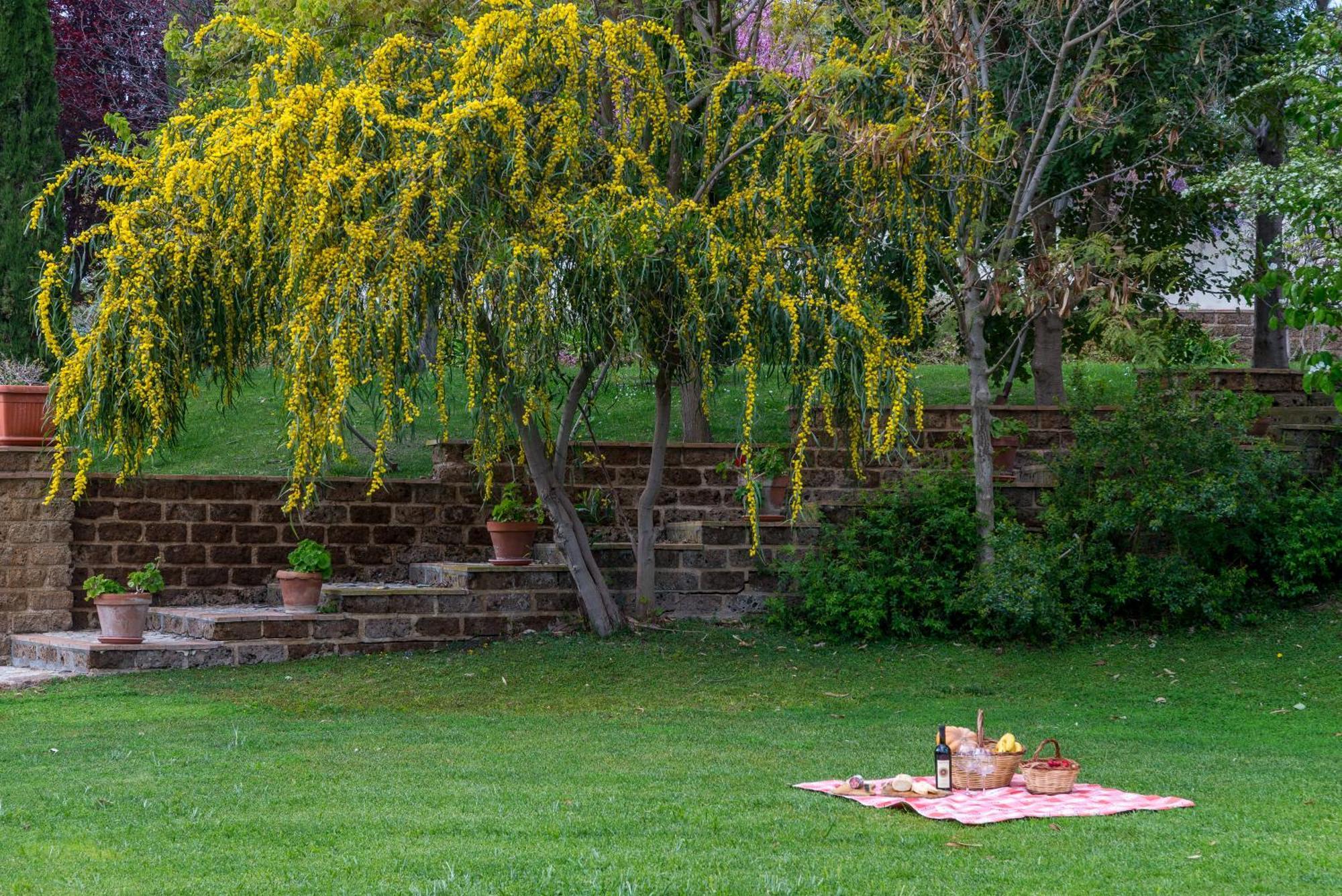 Villa Gli Eucalipti Cerveteri Zewnętrze zdjęcie