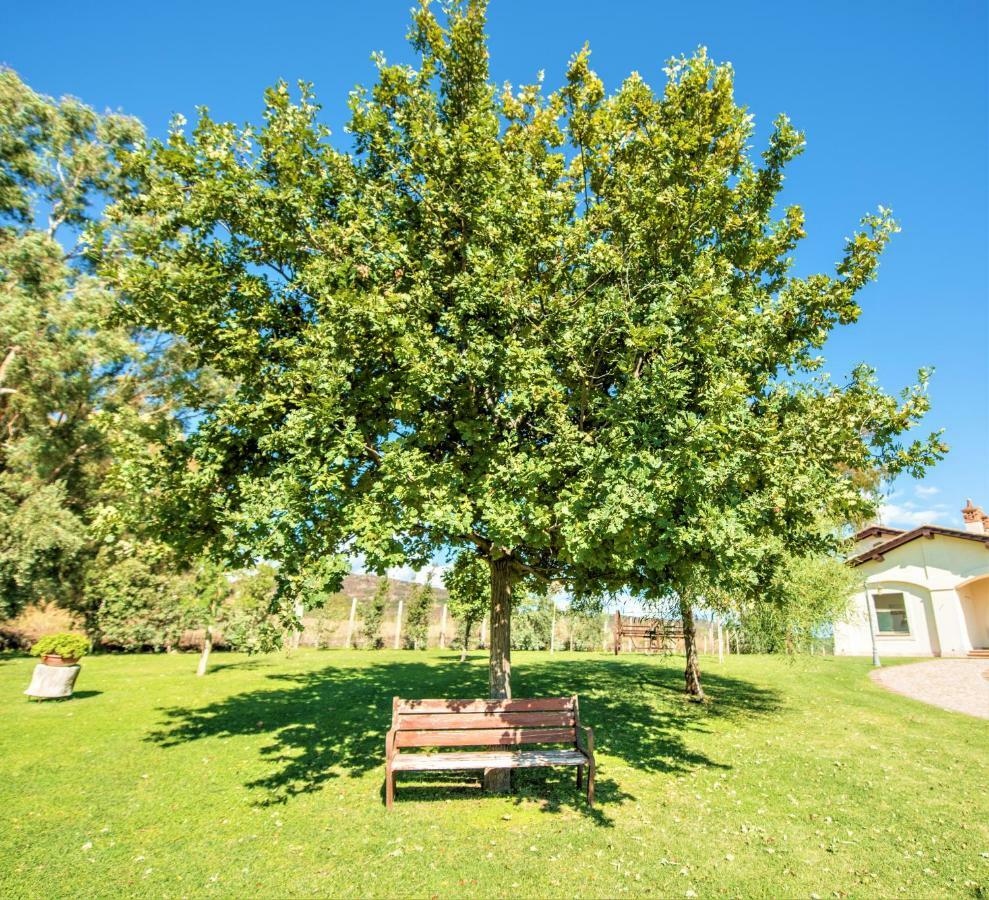 Villa Gli Eucalipti Cerveteri Zewnętrze zdjęcie