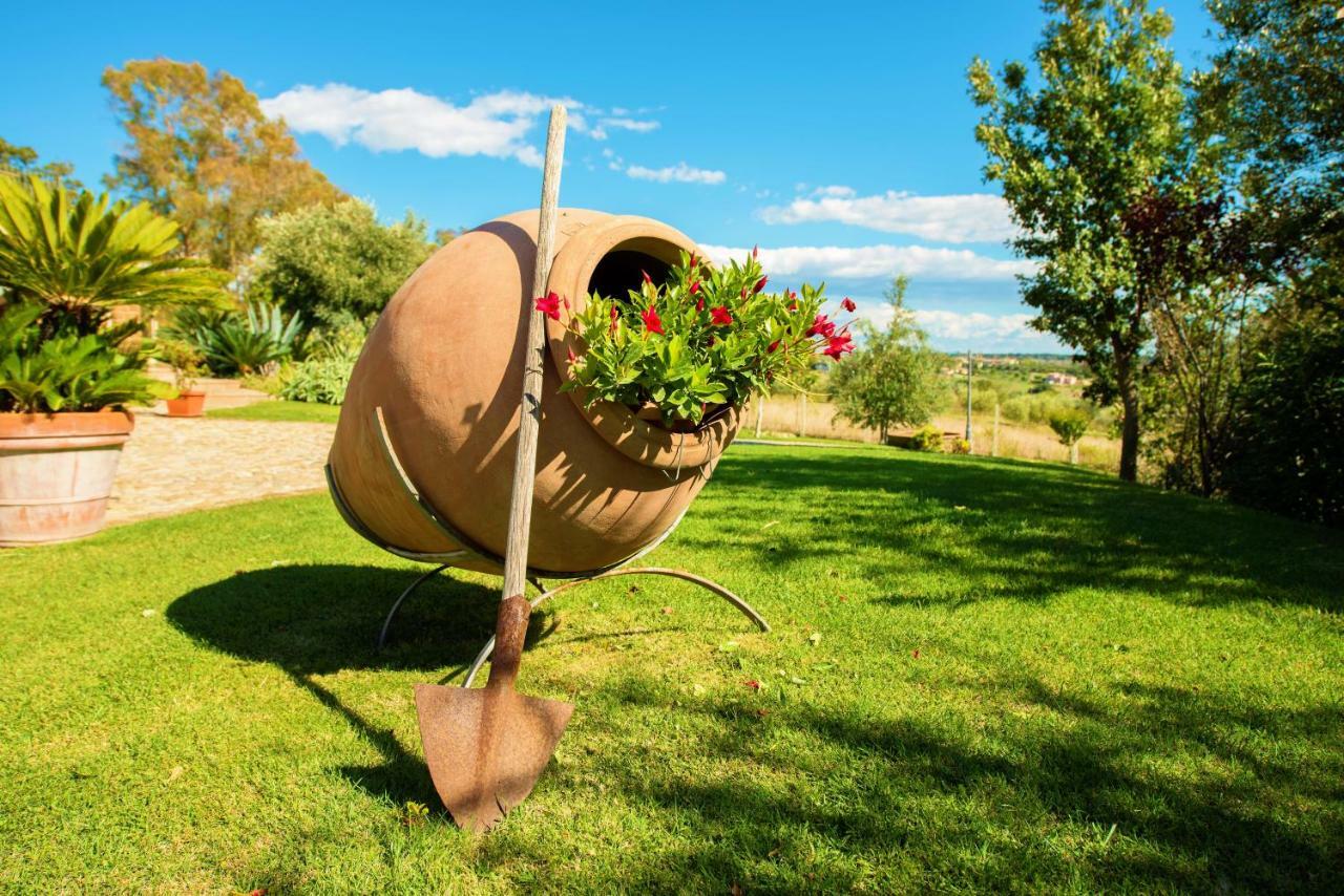Villa Gli Eucalipti Cerveteri Zewnętrze zdjęcie